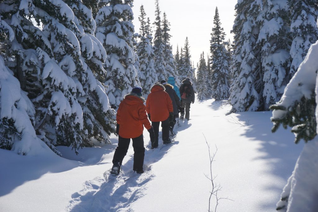 Group of snowshoers walking through snow-covered trees